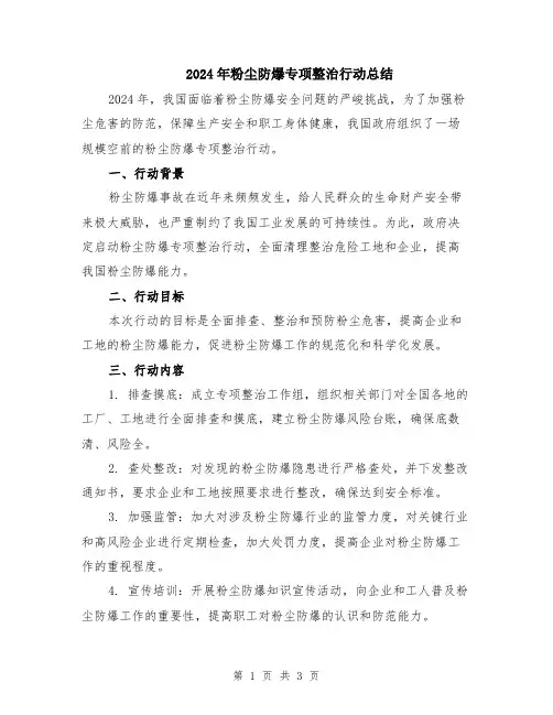 2024年粉尘防爆专项整治行动总结