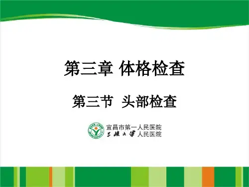 体格检查