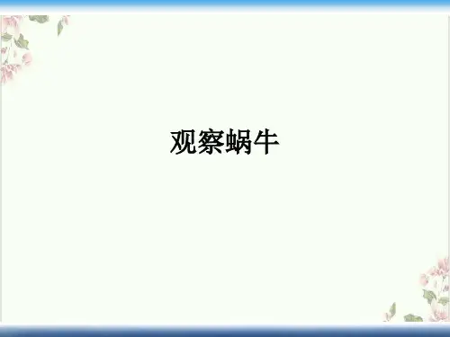 七年级上科学_生物与非生物_课件浙教版