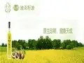 三生茶油ppt综述