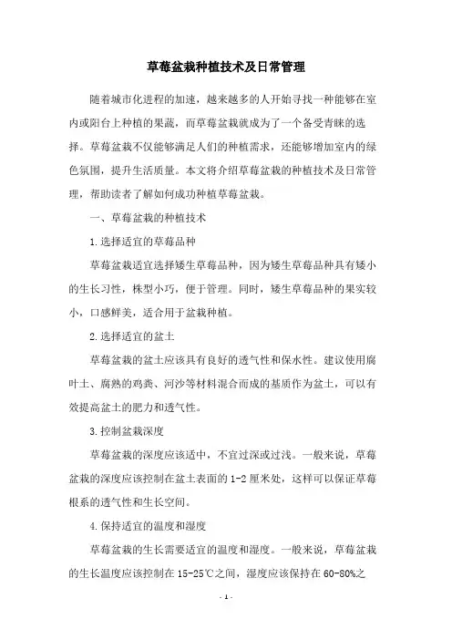 草莓盆栽种植技术及日常管理