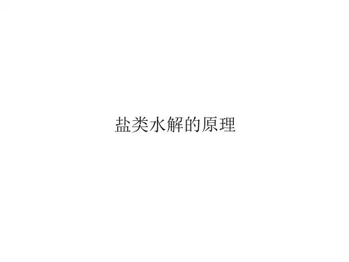 盐类水解的原理  课件