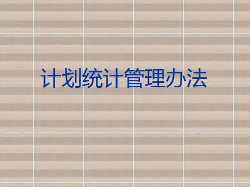 计划统计管理办法