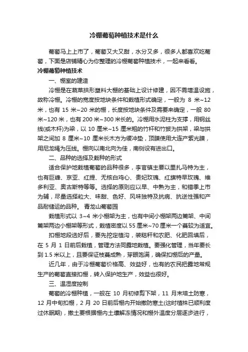 冷棚葡萄种植技术是什么
