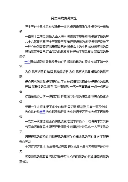 另类串烧麦词大全