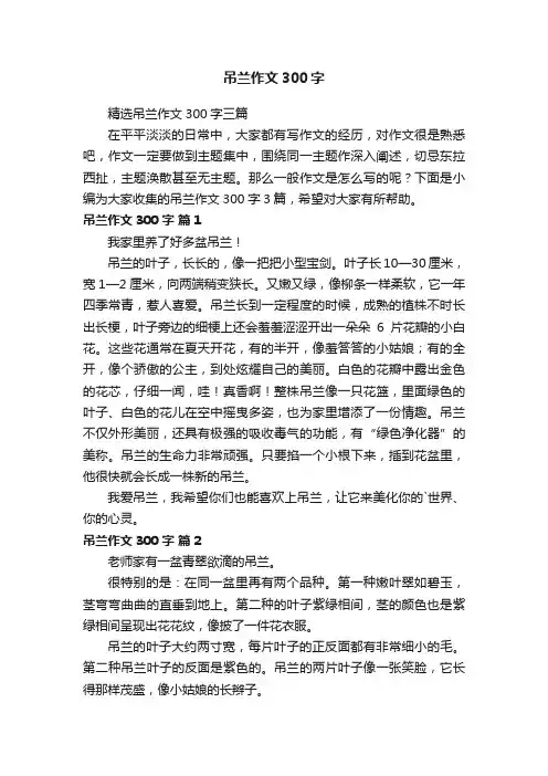 精选吊兰作文300字三篇