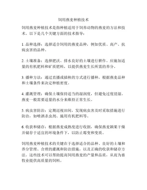 饲用燕麦种植技术