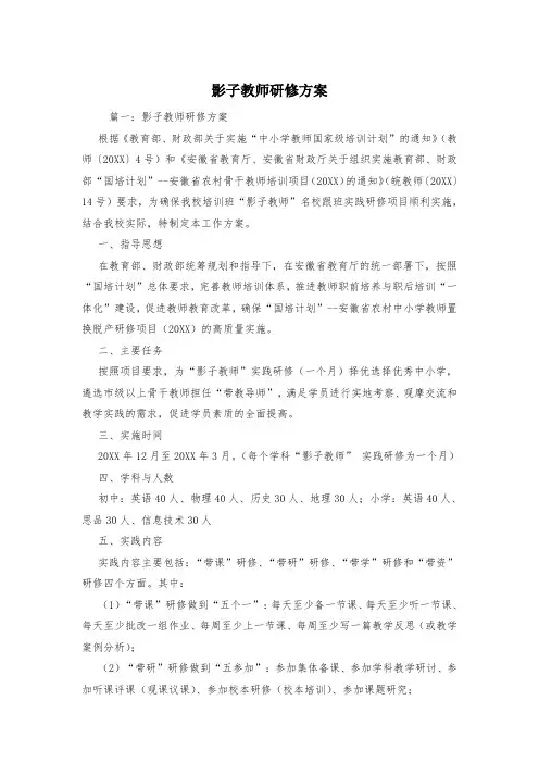影子教师研修方案