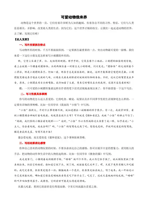 部编版六年级语文下册期末总复习 作文 (2)