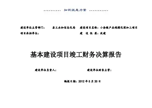 项目竣工财务决算报告