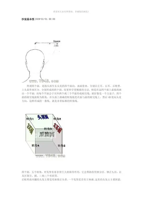 沙宣基本型