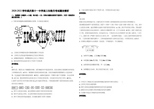 2020-2021学年重庆第十一中学高三生物月考试题含解析