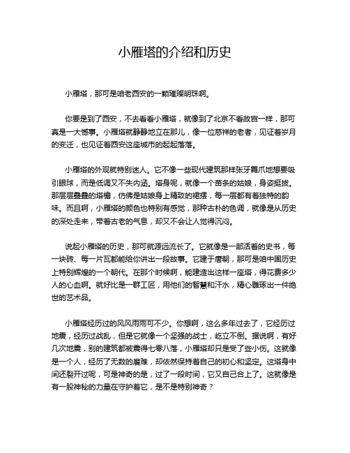 小雁塔的介绍和历史