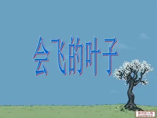 会飞的叶子