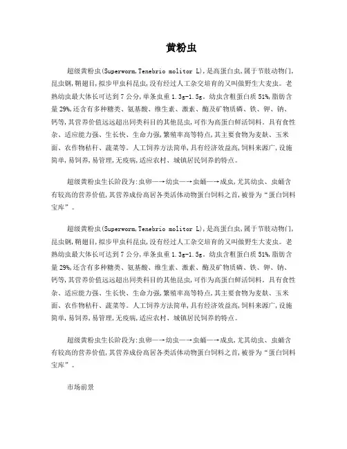黄粉虫养殖技术