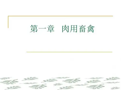 一章节肉用畜禽