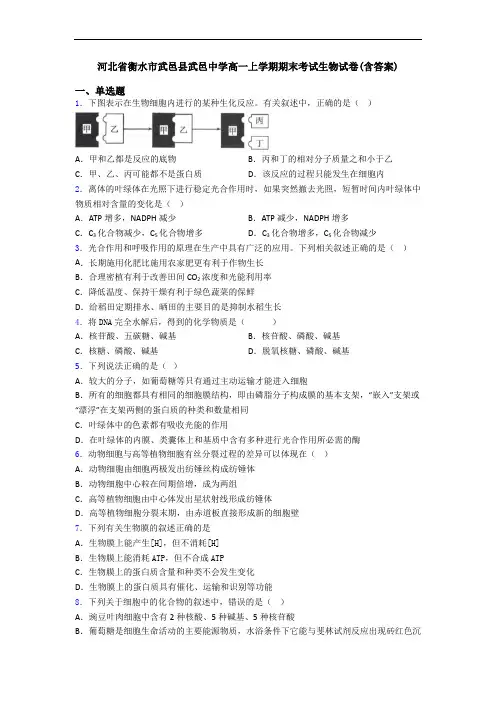 河北省衡水市武邑县武邑中学高一上学期期末考试生物试卷(含答案)