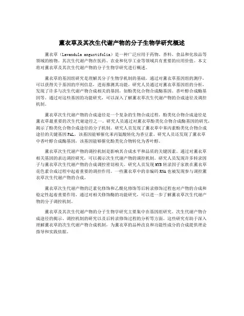 薰衣草及其次生代谢产物的分子生物学研究概述