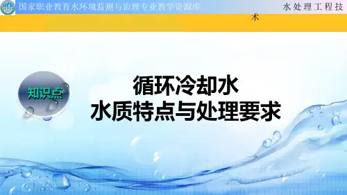 循环冷却水水质特点与处理要求PPT资料优秀版