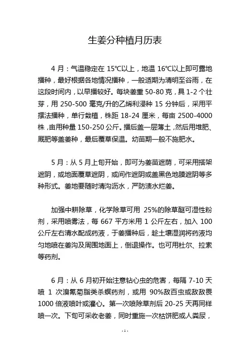 生姜分种植月历表