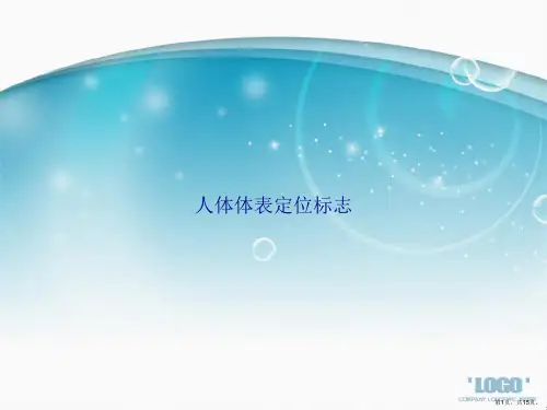 人体体表定位标志讲课文档