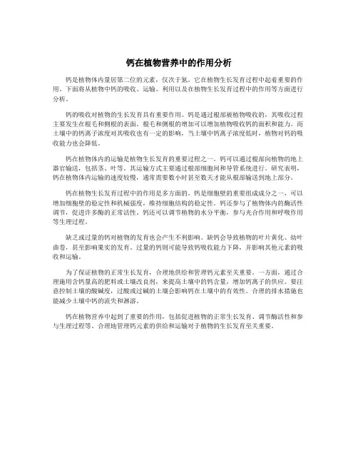 钙在植物营养中的作用分析