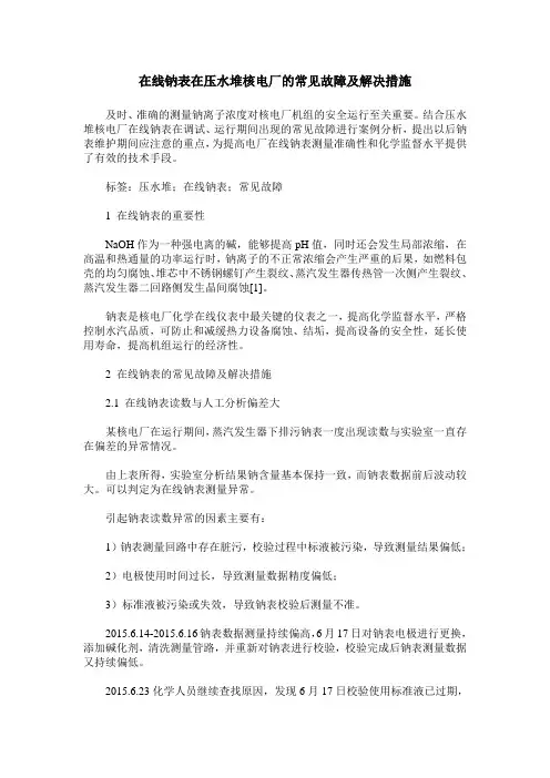 在线钠表在压水堆核电厂的常见故障及解决措施