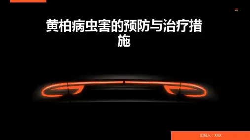 黄柏病虫害的预防与治疗措施