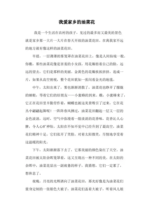 我爱家乡的油菜花