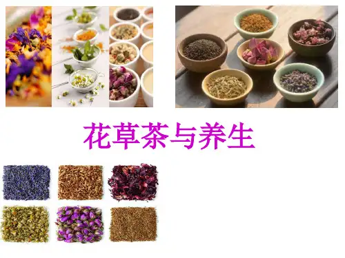 花草茶与养生.ppt