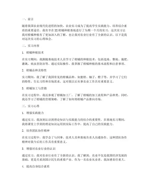 柑橘实习报告心得