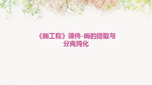 《酶工程》课件-酶的提取与分离纯化