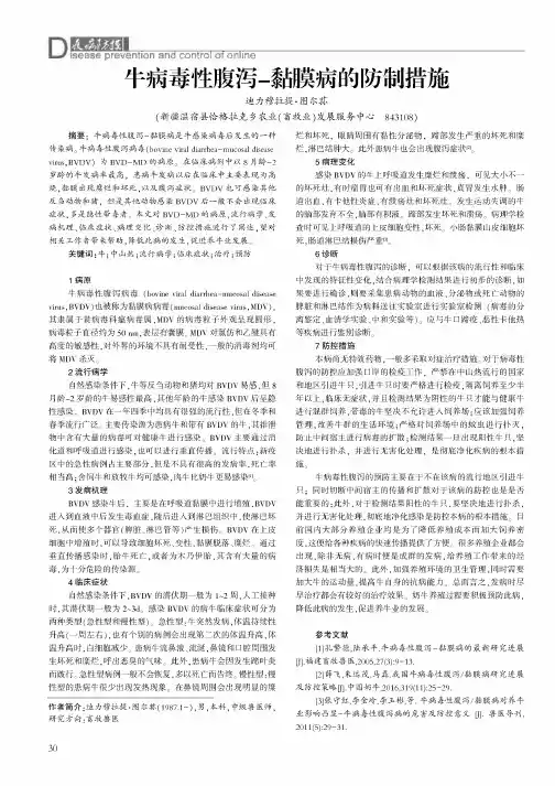 牛病毒性腹泻-黏膜病的防制措施