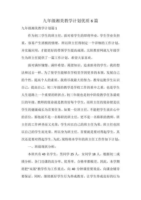 九年级湘美教学计划优质6篇