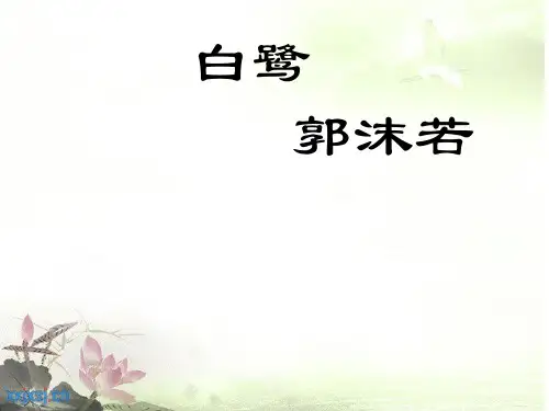 语文苏教版九年级上册《关于散文《白鹭》(附：白鹭)》课件公开课(1)