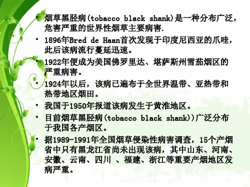 烟草黑胫病