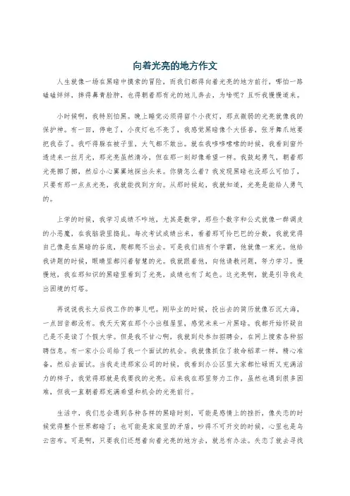 向着光亮的地方作文