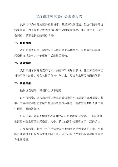 武汉市环境污染社会调查报告