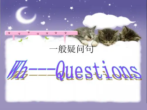 六年级英语班第11次课一般疑问句与特殊疑问句