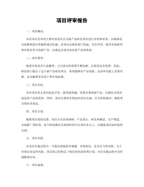 项目评审报告