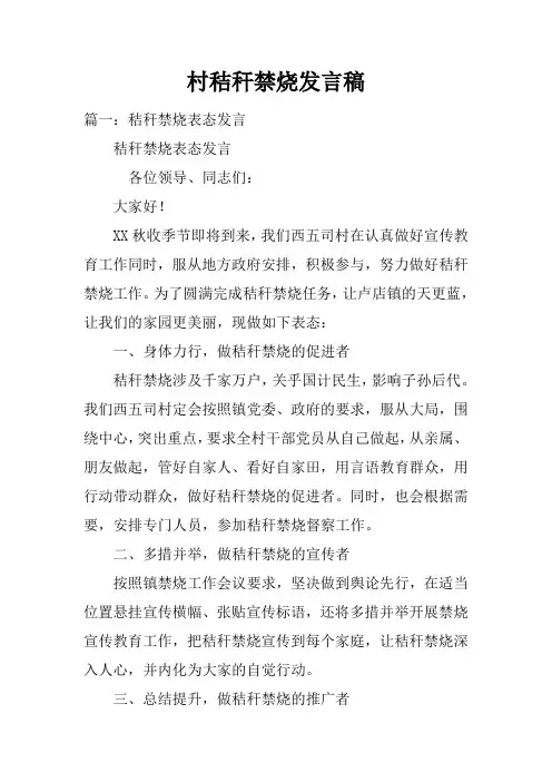 村秸秆禁烧发言稿doc