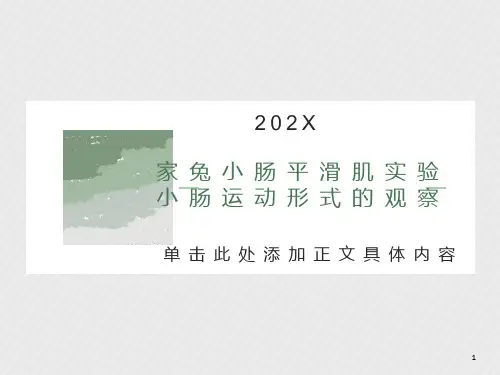 家兔小肠平滑肌实验小肠运动形式的观察