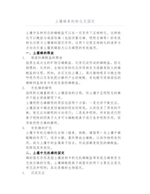 土壤磷素的转化及固定