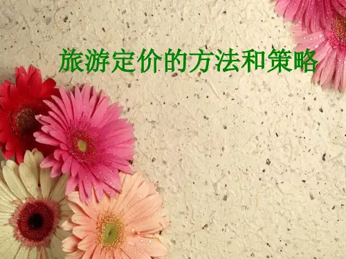 旅游定价及策略