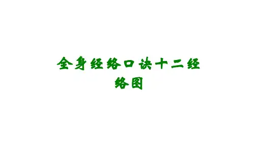 全身经络口诀十二经络图