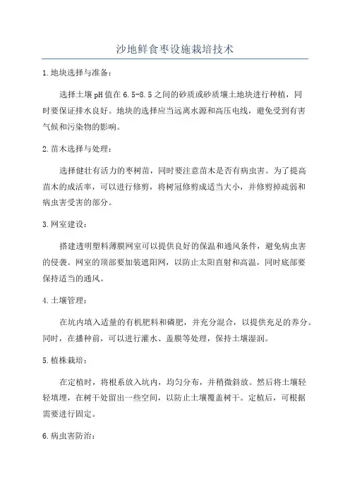 沙地鲜食枣设施栽培技术