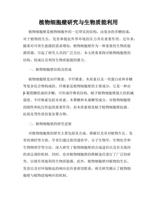 植物细胞壁研究与生物质能利用
