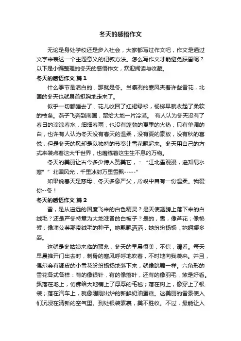 冬天的感悟作文范文（通用33篇）