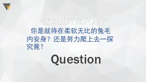 苏菲的世界自制ppt课件