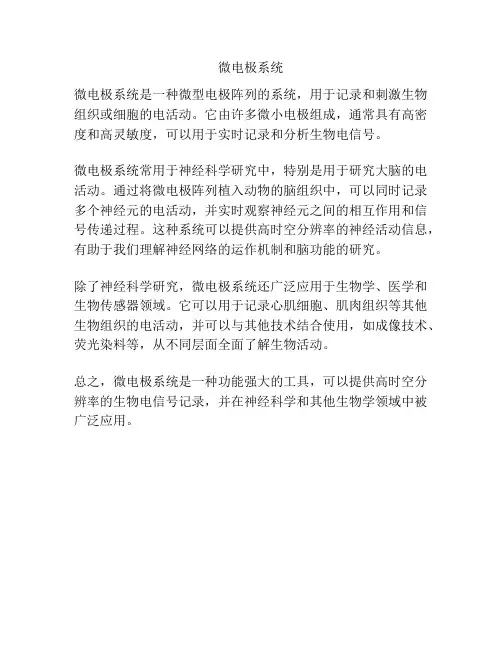 微电极系统